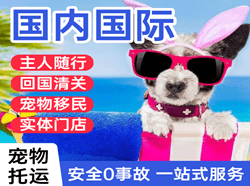 青岛胶东航空货运国际宠物托运 【国